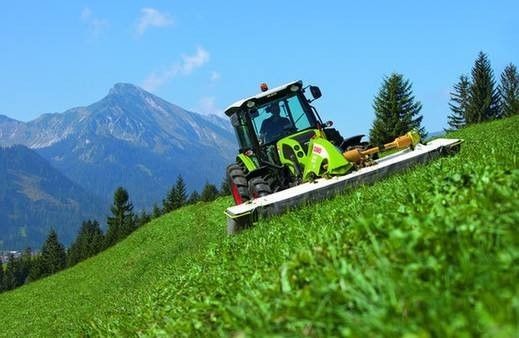 鄉愁的根，在鄉村振興的枝頭綻放