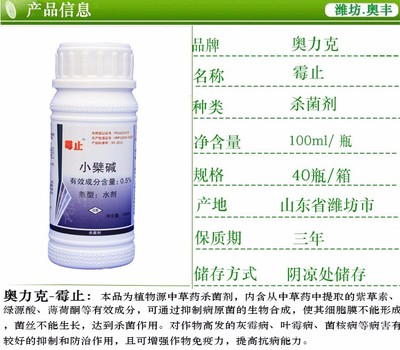 中藥殺菌新選擇 奧列克霉止小檗堿，高清細節圖解番茄灰霉病防治